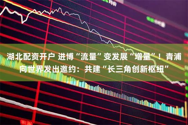 湖北配资开户 进博“流量”变发展“增量”！青浦向世界发出邀约：共建“长三角创新枢纽”